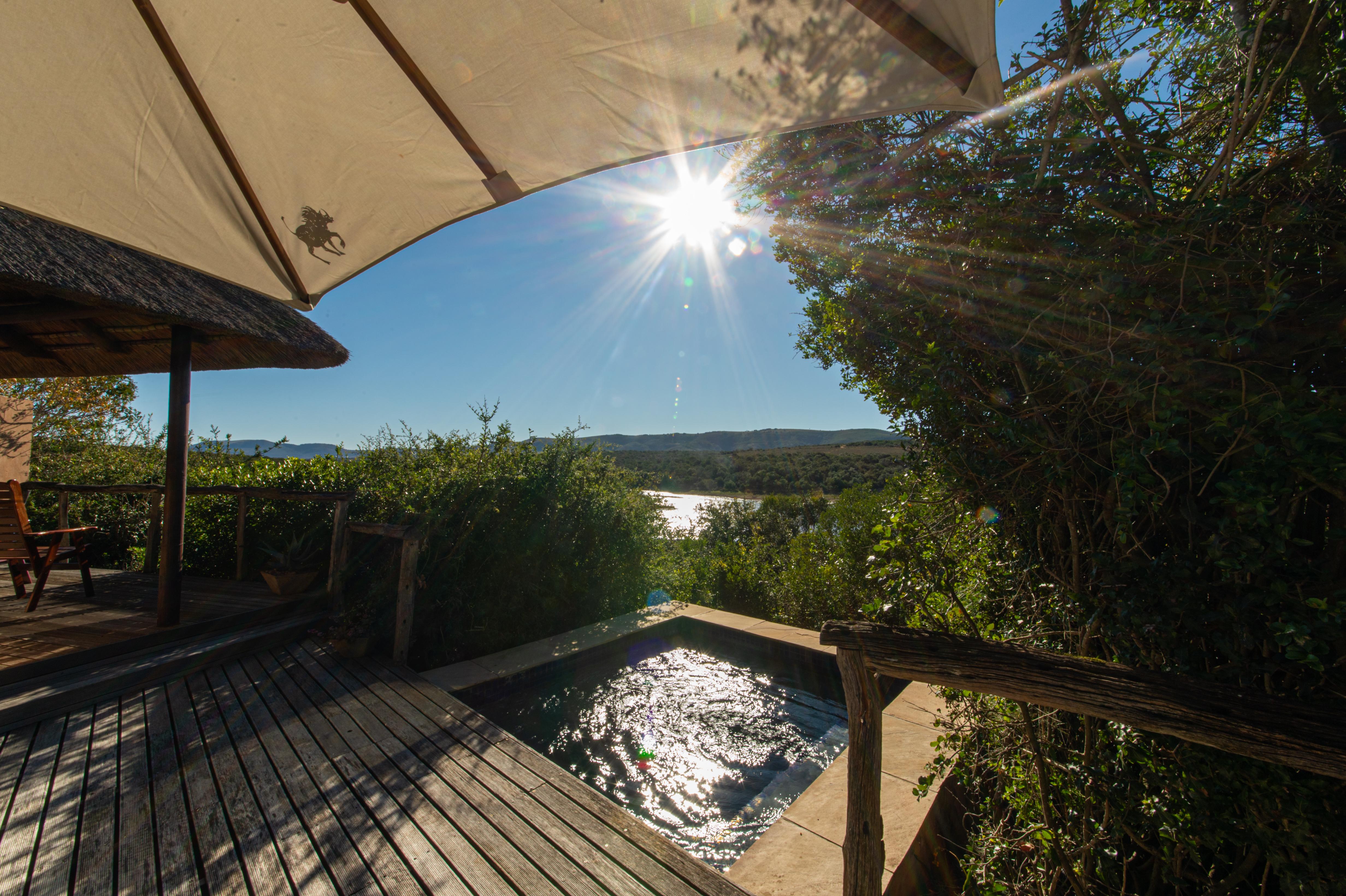Pumba Private Game Reserve Port Elizabeth Eksteriør billede