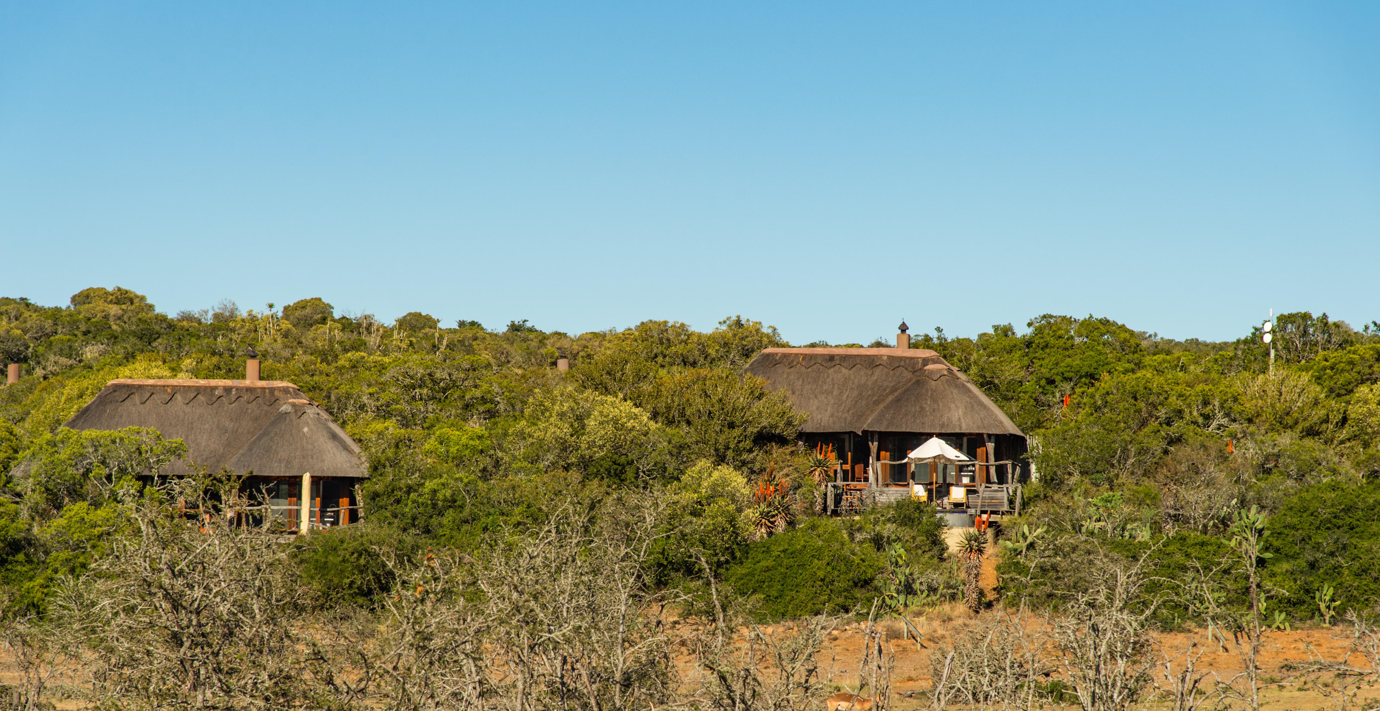 Pumba Private Game Reserve Port Elizabeth Eksteriør billede
