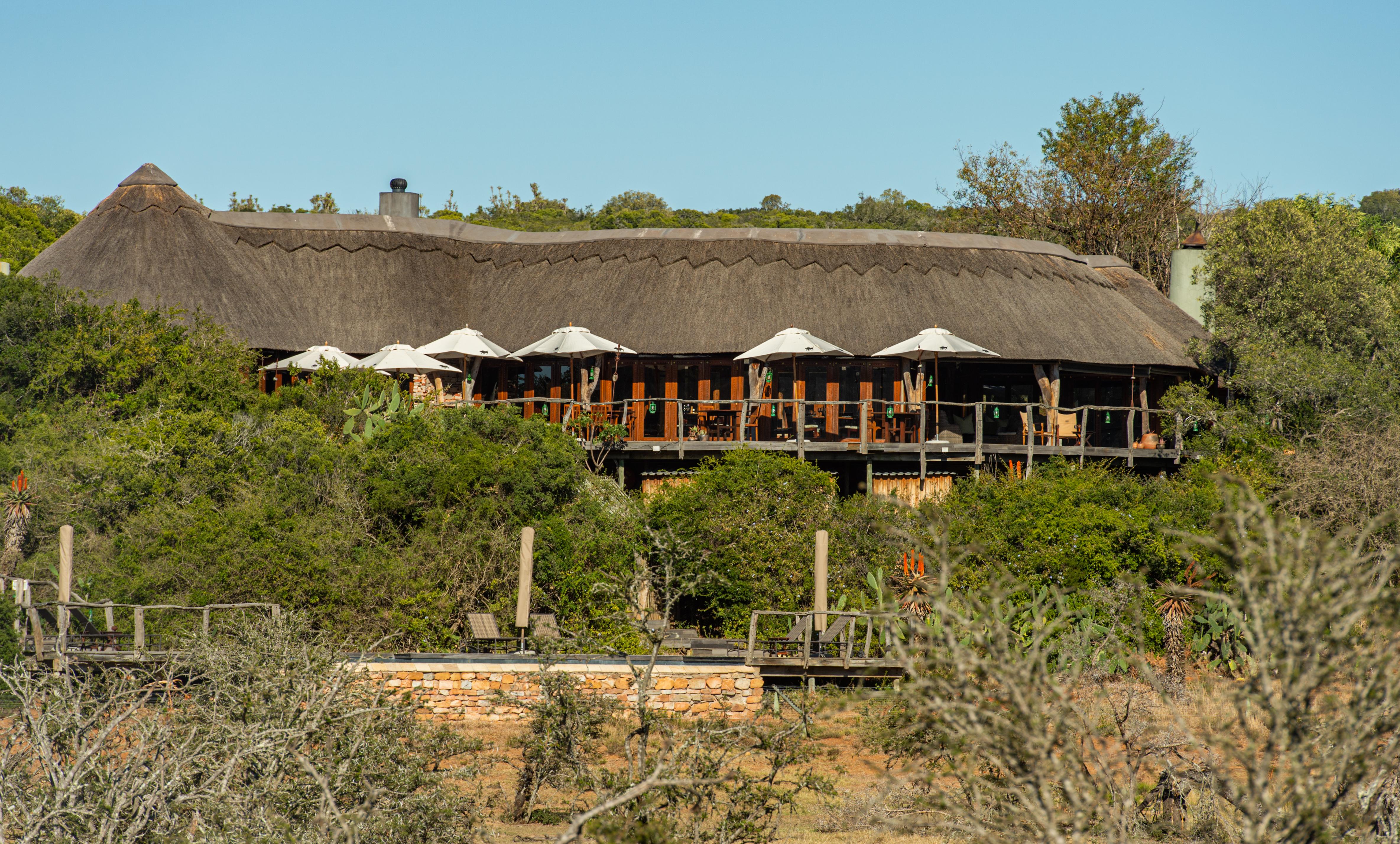 Pumba Private Game Reserve Port Elizabeth Eksteriør billede