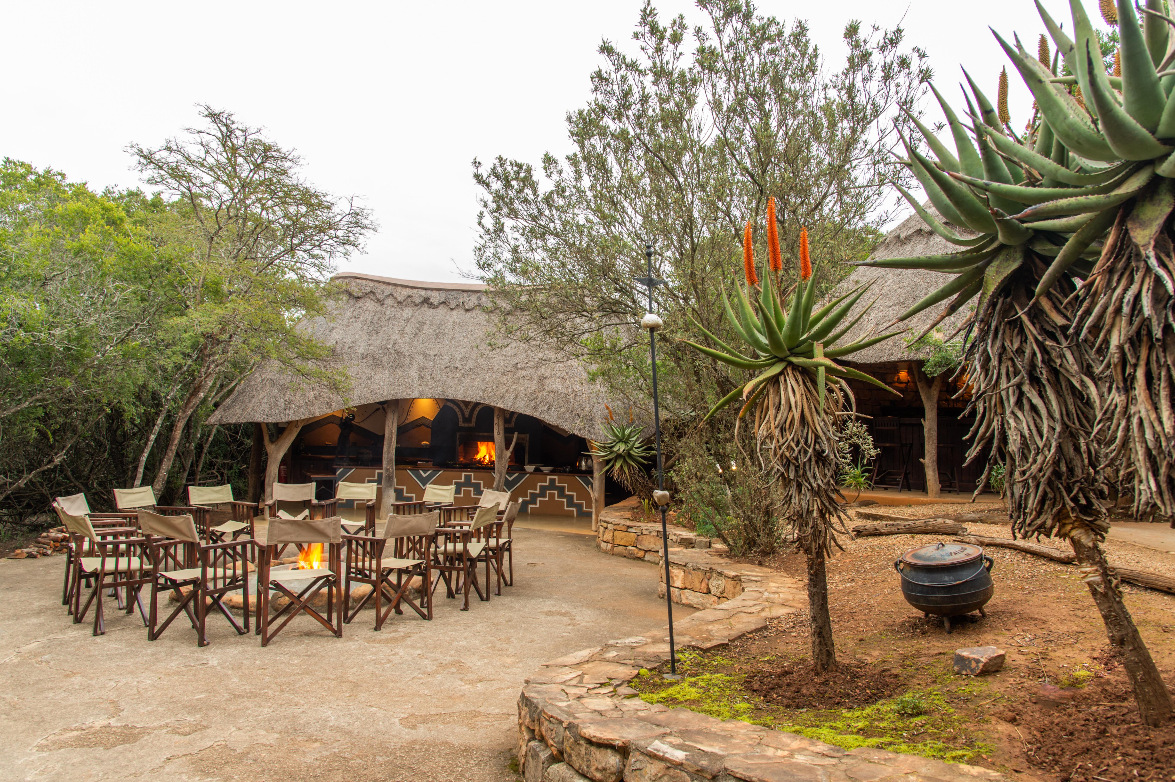 Pumba Private Game Reserve Port Elizabeth Eksteriør billede